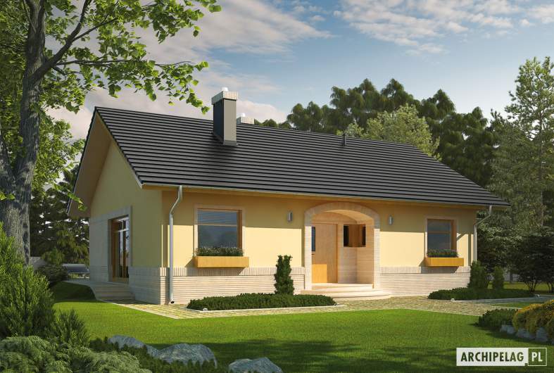 Projekt domu Erin IV - Projekty domów ARCHIPELAG - Erin IV - wizualizacja frontowa