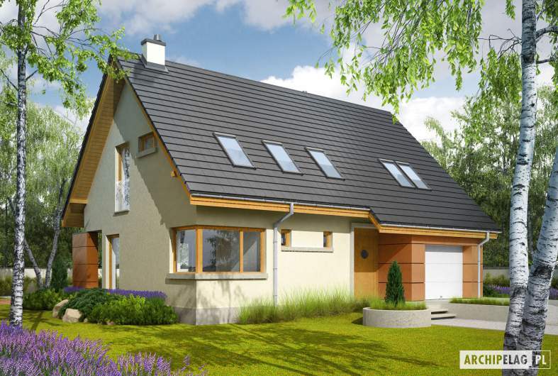 Projekt domu Tolek II G1 - wizualizacja frontowa