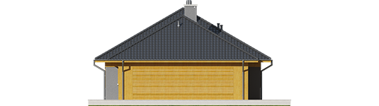 David G1 - Projekt domu Dawid G1 - elewacja prawa