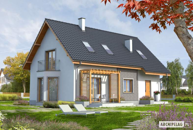 Projekt domu Ben G1 - Projekty domów ARCHIPELAG - Ben G1 - wizualizacja ogrodowa