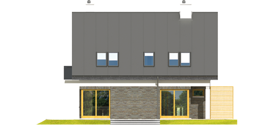 Tim - Projekty domów ARCHIPELAG - Tim - elewacja tylna