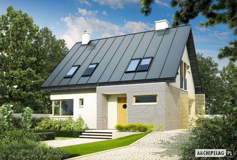 Projekt domu Tim - Projekty domów ARCHIPELAG - Tim - wizualizacja frontowa