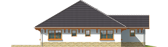 Runa G1 - Projekt domu Runa G1 - elewacja lewa