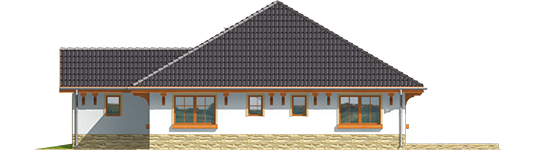 Runa G1 - Projekt domu Runa G1 - elewacja lewa