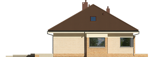 Flow III - Projekt domu Flo III - elewacja lewa