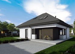 Projekt Mini 20 (wersja C) PLUS reco