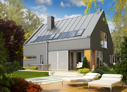 Projekt Antek G1