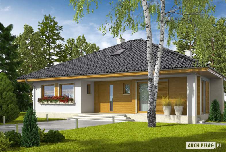 Projekt domu Flori III ECONOMIC (wersja A) 30 stopni - wizualizacja frontowa