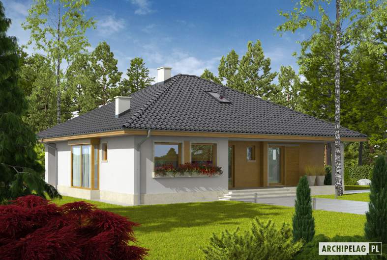 Projekt domu Flori III ECONOMIC (wersja A) 30 stopni - wizualizacja frontowa