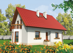 Projekt Irenka