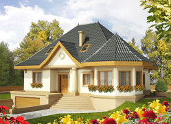 Projekt Tulipan G2