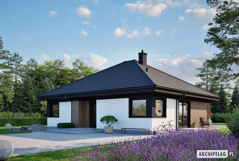 Projekt domu Flo IV ENERGO PLUS - wizualizacja frontowa