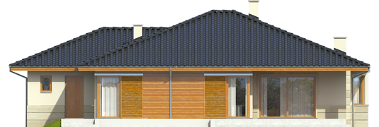 Flori II G1 - Projekty domów ARCHIPELAG - Flori II G1 - elewacja tylna