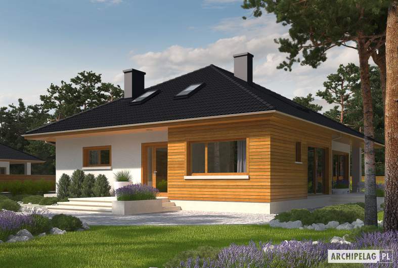Projekt domu Liv 3 - Projekty domów ARCHIPELAG - Liv 3 - wizualizacja frontowa