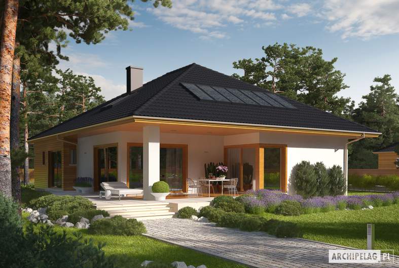 Projekt domu Liv 3 - Projekty domów ARCHIPELAG - Liv 3 - wizualizacja ogrodowa