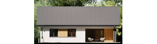 Projekt domu Mini 23 PLUS - elewacja tylna