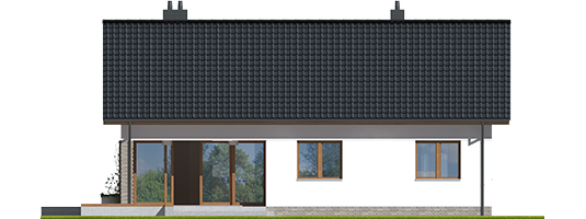 Sven II - Projekty domów ARCHIPELAG - Swen II - elewacja tylna