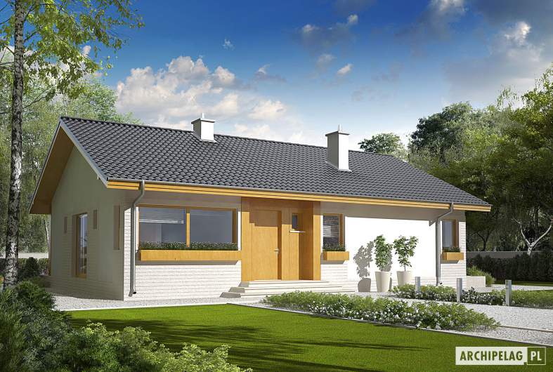 Projekt domu Eryk (30 stopni) - wizualizacja frontowa