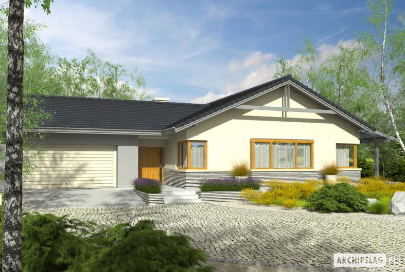 Projekt domu Selena G2 (30 stopni) - Projekty domów ARCHIPELAG - Selena G2 (30 stopni) - wizualizacja frontowa