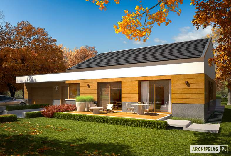 Projekt domu EX 11 G2 (wersja D) MULTI-COMFORT - Projekty domów ARCHIPELAG - EX 11 G2 (wersja D) MULTI-COMFORT - wizualizacja frontowa