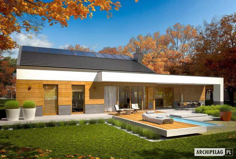 Projekt domu EX 11 G2 (wersja D) MULTI-COMFORT - Projekty domów ARCHIPELAG - EX 11 G2 (wersja D) MULTI-COMFORT - wizualizacja ogrodowa