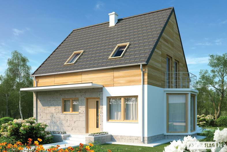 Projekt domu Apolonia - wizualizacja frontowa