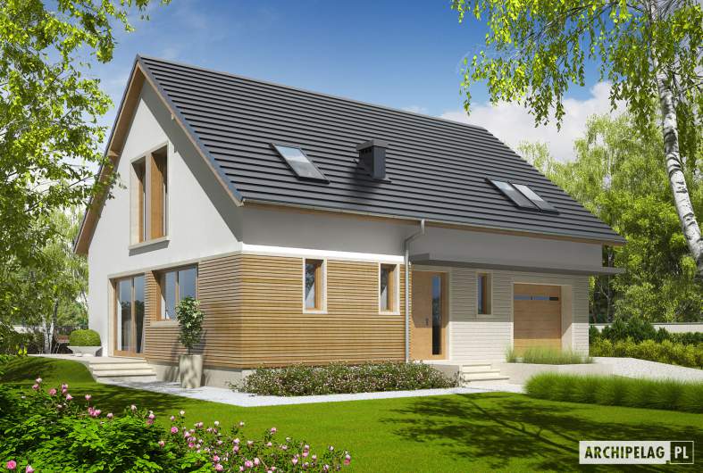 Projekt domu Alba G1 MULTI-COMFORT - Projekty domów ARCHIPELAG - Alba G1 MULTI-COMFORT - wizualizacja frontowa