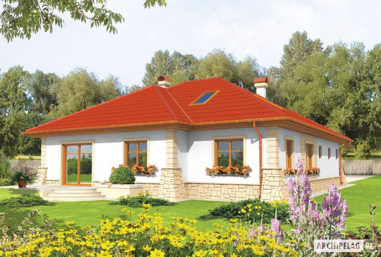 Projekt domu Afra G1 - wizualizacja ogrodowa