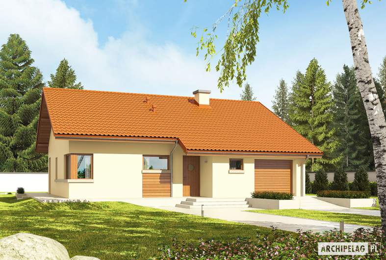 Projekt domu Tori III G1 ECONOMIC (wersja B) - Projekty domów ARCHIPELAG - Tori III G1 ECONOMIC (wersja B) - wizualizacja frontowa