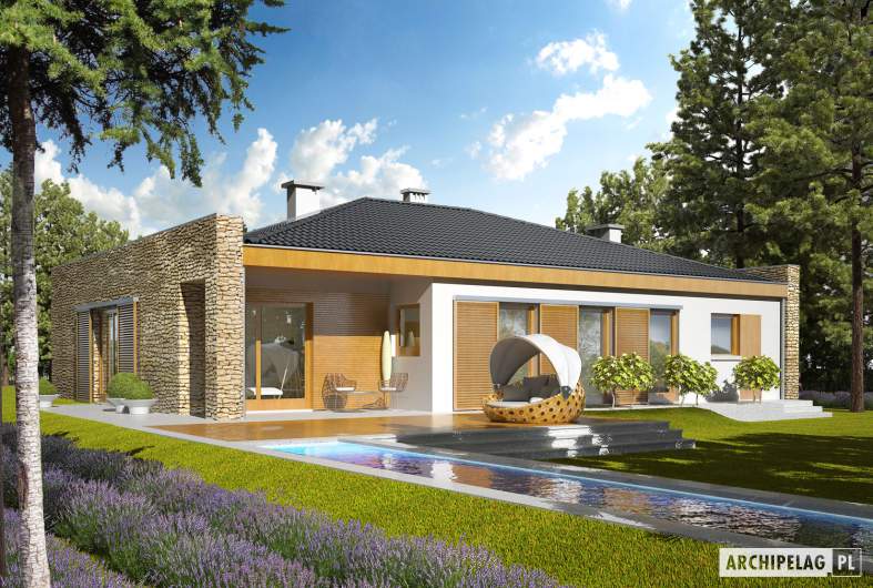 Projekt domu Marlon IV G1 - wizualizacja ogrodowa