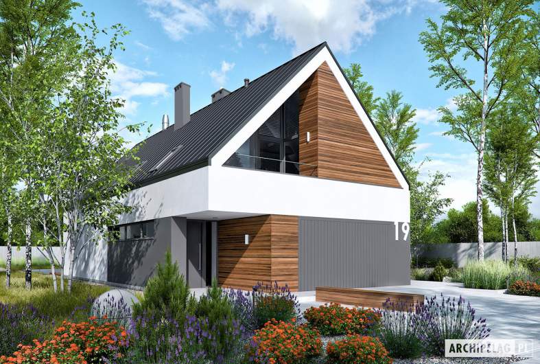 Projekt domu EX 19 G2 soft - wizualizacja frontowa