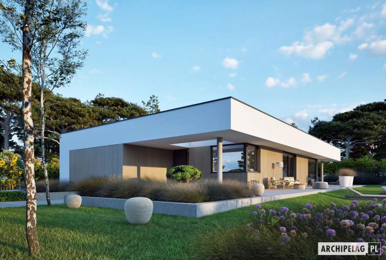 Projekt domu EX 21 G2 ENERGO PLUS - wizualizacja frontowa