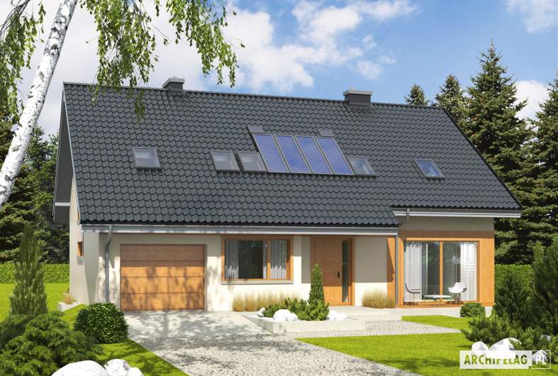 Projekt domu Amber G1 - Projekty domów ARCHIPELAG - Amber G1 - wizualizacja frontowa