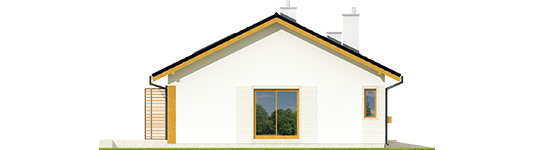 Eric G1 - Projekt domu Eryk G1 - elewacja lewa