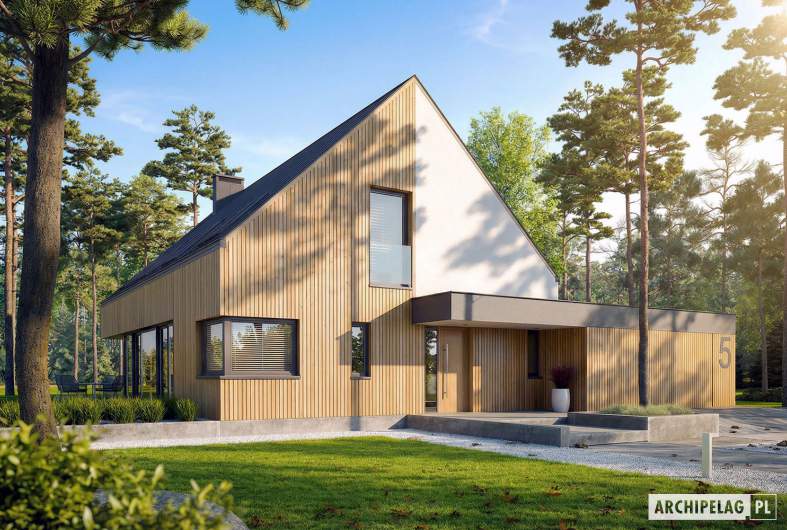 Projekt domu Daniel V G2 ENERGO PLUS - wizualizacja frontowa