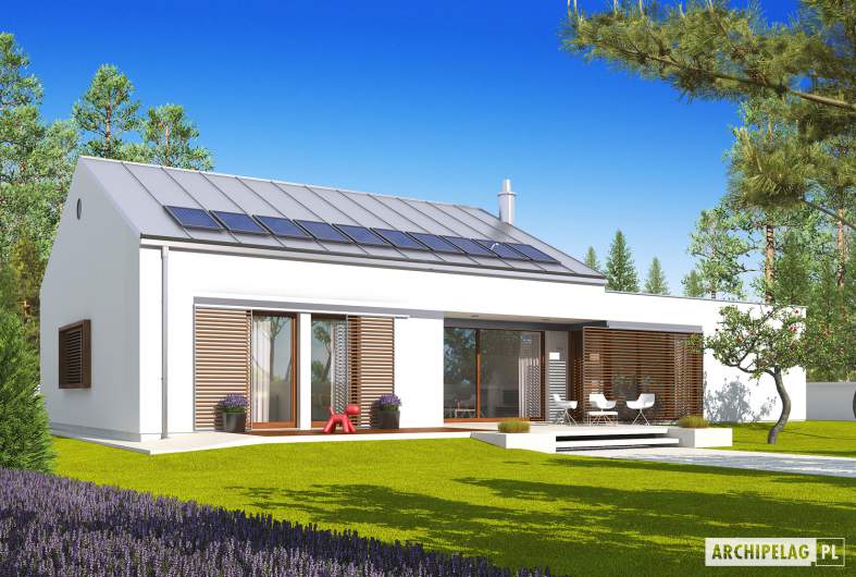 Projekt domu EX 8 G2 (wersja A) - wizualizacja ogrodowa