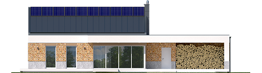 EX 11 G2 - Projekt domu EX 11 G2 (wersja A) - elewacja tylna