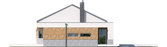 EX 11 G2 - Projekt domu EX 11 G2 (wersja A) - elewacja lewa