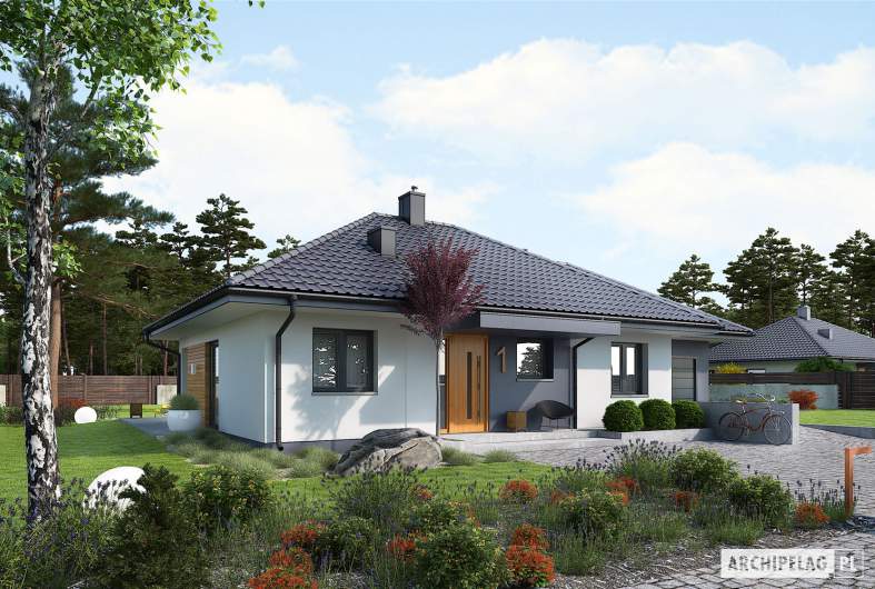 Projekt domu Mini 1 G1 - wizualizacja frontowa