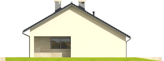 Tori III G1 - Projekt domu Tori III G1 - elewacja lewa