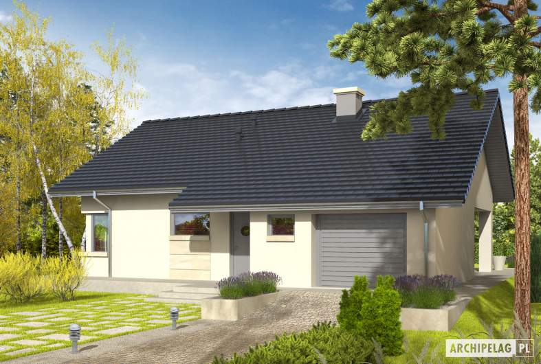 Projekt domu Tori III G1 - wizualizacja frontowa