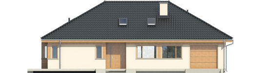 Andrea II G1 - Projekty domów ARCHIPELAG - Andrea II G1 - elewacja frontowa