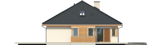 Andrea II G1 - Projekty domów ARCHIPELAG - Andrea II G1 - elewacja lewa