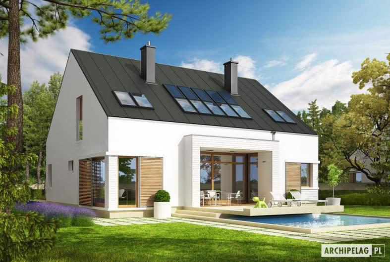 Projekt domu EX 9 G1 (wersja B) soft - wizualizacja ogrodowa