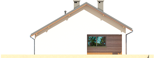 Tori III G1 ECONOMIC A - Projekt domu Tori III G1 ECONOMIC (wersja A) - elewacja prawa