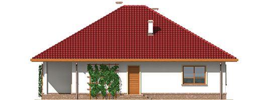 Suzi - Projekt domu Suzi - elewacja prawa