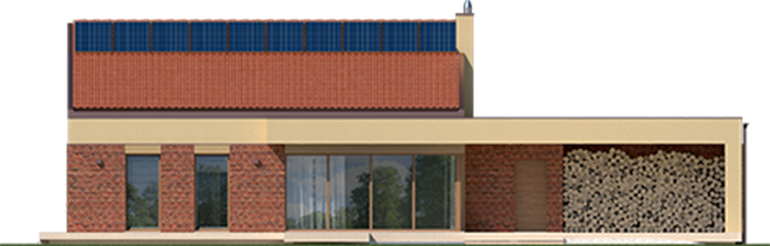 EX 11 G2 B Soft - Projekt domu EX 11 G2 (wersja B) soft - elewacja tylna