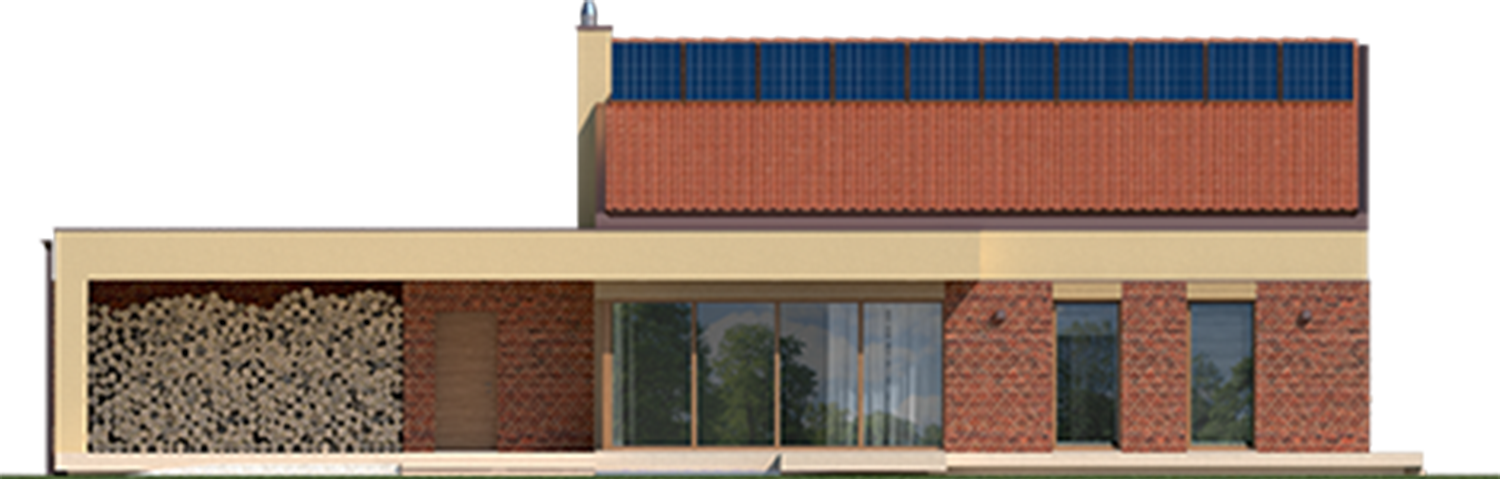 EX 11 G2 B Soft - Projekt domu EX 11 G2 (wersja B) soft - elewacja tylna