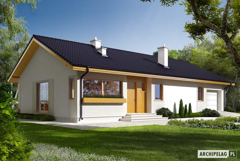 Projekt domu Eryk G1 (30 stopni) - Projekty domów ARCHIPELAG - Eryk G1 (30 stopni) - wizualizacja frontowa