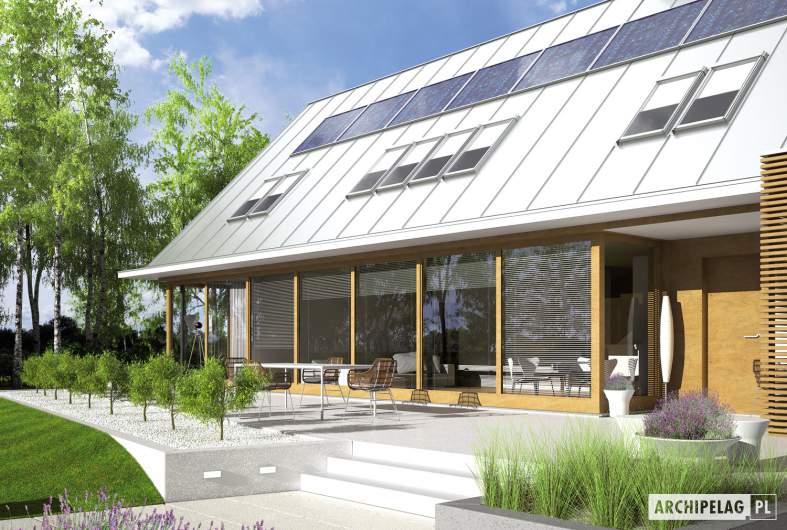 Projekt domu EX 3 G1 - wizualizacja ogrodowa